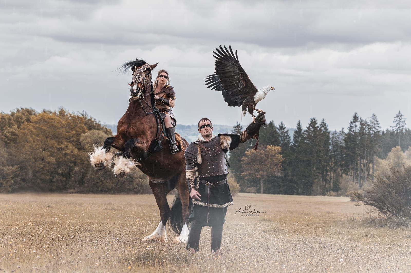 Hund & Pferd